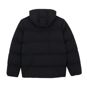 Куртка Dickies Eagleville Hooded Puffer DK0A87OHBLK1 (black)