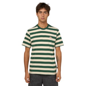 Футболка Dickies Rivergrove Ss Tee DK0A4Y8YPIN1 (pine needle green)