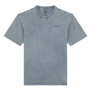 Футболка Dickies Plentywood Ss Tee DK0A866BG701 (stormy weather)