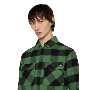 Рубашка Dickies Sacramento Shirt DK0A4XDZK171 (elm green)