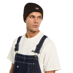 Шапка Dickies Gibsland Beanie DK0A4X7K0DB1 (dark brown)