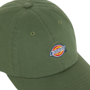 Кепка Dickies Hardwick Cap DK0A4TKVL191 (sea spray)
