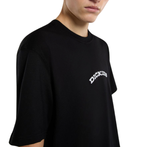 Футболка Dickies Outdoor Ss Tee DK0A4Z8PBLK1 (black)