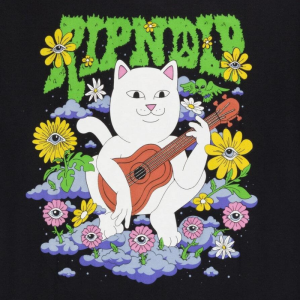 Футболка Ripndip Boho Nerm Tee RND10242 (black)