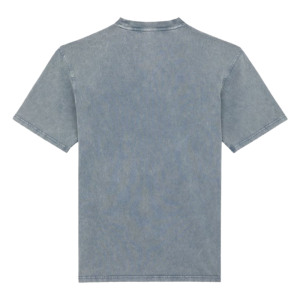 Футболка Dickies Plentywood Ss Tee DK0A866BG701 (stormy weather)