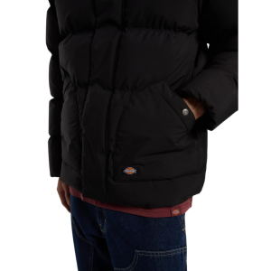 Куртка Dickies Eagleville Hooded Puffer DK0A87OHBLK1 (black)