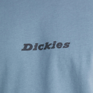 Футболка Dickies Enterprise Tee Ss DK0A4YRNG701 (stormy weather)