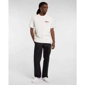 Футболка Dickies Lewistown Ss Tee DK0A4Z8ZC481 (egret)