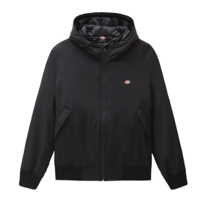 Куртка Dickies New Sarpy Jacket DK0A4XG8BLK1 (black)