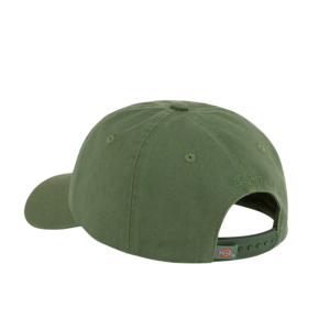 Кепка Dickies Hardwick Cap DK0A4TKVL191 (sea spray)