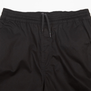 Брюки Dickies Mount Vista Pant DK0A4Y22BLK1 (black)