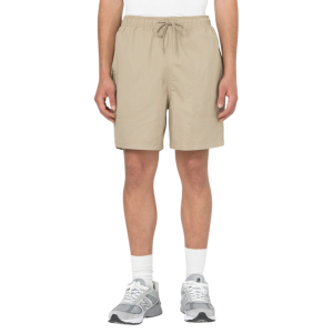 Шорты Dickies Pelican Rapids DK0A4XB2DS01 (desert sand)
