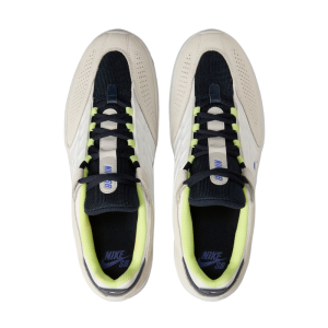 Кеды Nike SB Vertebrae FD4691-101 (summit white-persian violet)