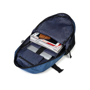 Рюкзак Riorex Big City And Travel Backpack RV8051blu (blue)