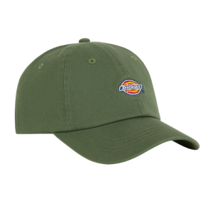 Кепка Dickies Hardwick Cap DK0A4TKVL191 (sea spray)