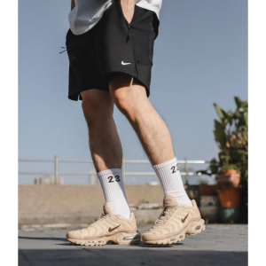 Кроссовки Nike Air Max Plus FZ5049-222 (seasame-smokey mauve-hemp)