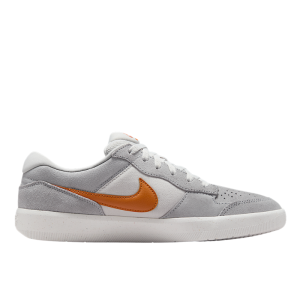 Кеды Nike SB Force 58 DV5477-007 (platinum tint-monarch)