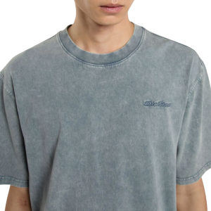 Футболка Dickies Plentywood Ss Tee DK0A866BG701 (stormy weather)
