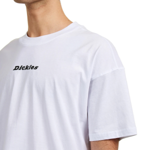 Футболка Dickies Enterprise Tee Ss DK0A4YRNWHX1 (white)
