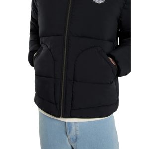 Куртка Dickies Summerdale Puffer DK0A87OGBLK1 (black)