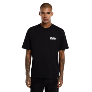 Футболка Dickies Lewistown Ss Tee DK0A4Z8ZBLK1 (black)