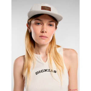 Кепка Dickies River Ranch Cap DK0A4Z6JF901 (whitecap gray)