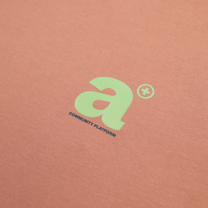 Футболка Appetite High Mark Fwd app25-fwd-lb (light brick)