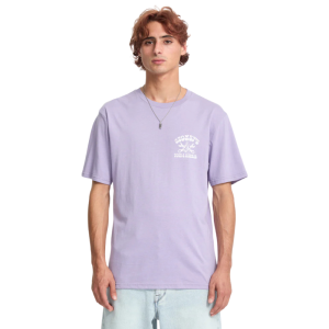 Футболка Volcom Stoneys Bsc Sst A3532552- (purple ash)