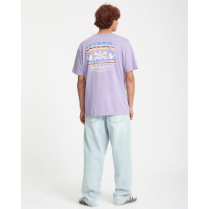 Футболка Volcom Stoneys Bsc Sst A3532552- (purple ash)