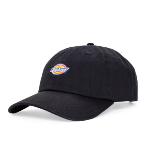 Бейсболка Dickies 6 Panel Logo Cap DK0A4TKVBLK1 (black)