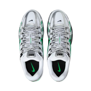 Кроссовки Nike P-6000 CD6404-104 (white-black-met silver)
