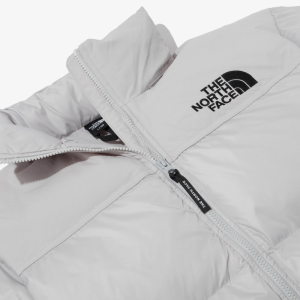 Пуховик The North Face Nuptse On Ball Jacket NJ3NP55C (light grey)