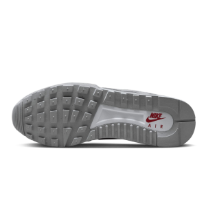 Кроссовки Nike Air Pegasus 89 FD3598-001 (wolf grey)