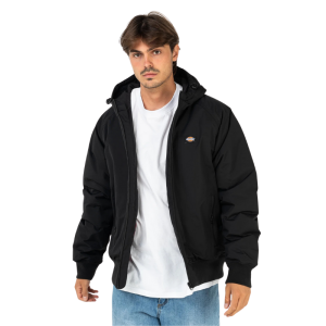 Куртка Dickies New Sarpy Jacket DK0A4XG8BLK1 (black)