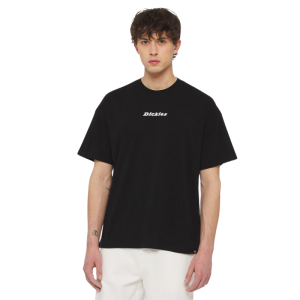 Футболка Dickies Enterprise Tee Ss DK0A4YRNBLK1 (black)