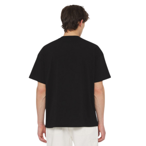 Футболка Dickies Enterprise Tee Ss DK0A4YRNBLK1 (black)