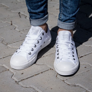 Кеды Converse Chuck Taylor All Star Seasonal 1U647 (white monochrome)