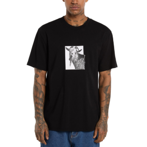 Футболка Dickies Mike Anderson Graphic Ss Tee DK0A8672BLK1 (black)