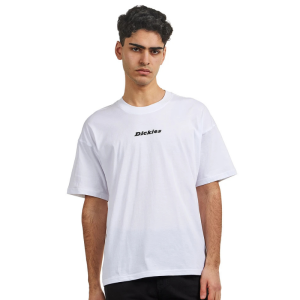 Футболка Dickies Enterprise Tee Ss DK0A4YRNWHX1 (white)