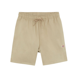 Шорты Dickies Pelican Rapids DK0A4XB2DS01 (desert sand)