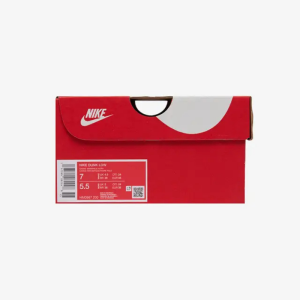 Кроссовки Женские Nike Dunk Low "Neapolitan" HM0987-200 (cacao wow-pale ivory)