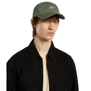 Кепка Dickies Hardwick Cap DK0A4TKVL191 (sea spray)
