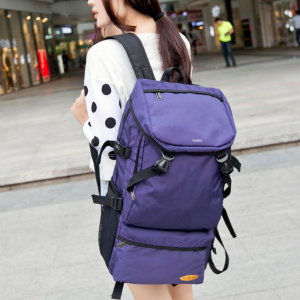 Рюкзак Riorex Big Travel Backpack RV8051prpl (purple)