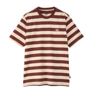 Футболка Dickies Rivergrove Ss Tee DK0A4Y8YL161 (andorra)