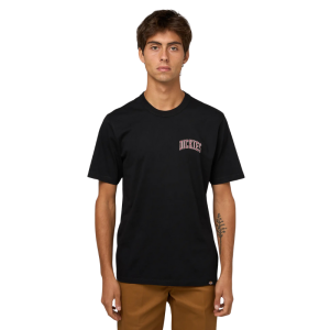 Футболка Dickies Aitkin Chest Tee Ss DK0A4Y8OL251 (black-tibetan red)