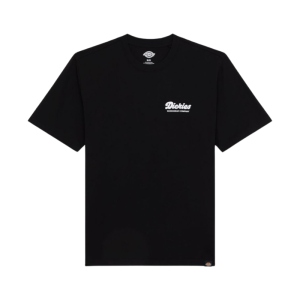 Футболка Dickies Lewistown Ss Tee DK0A4Z8ZBLK1 (black)