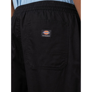 Брюки Dickies Mount Vista Pant DK0A4Y22BLK1 (black)