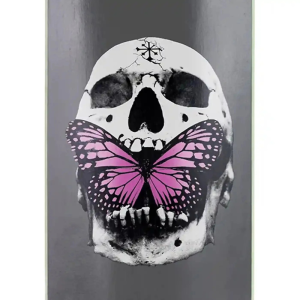 Дека Disorder Nyjah Butterfly Skull DIS10007 (grey)