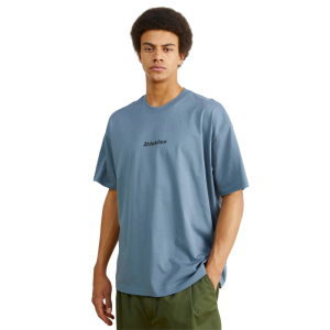Футболка Dickies Enterprise Tee Ss DK0A4YRNG701 (stormy weather)