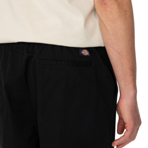 Шорты Dickies Pelican Rapids DK0A4XB2BLK1 (black)